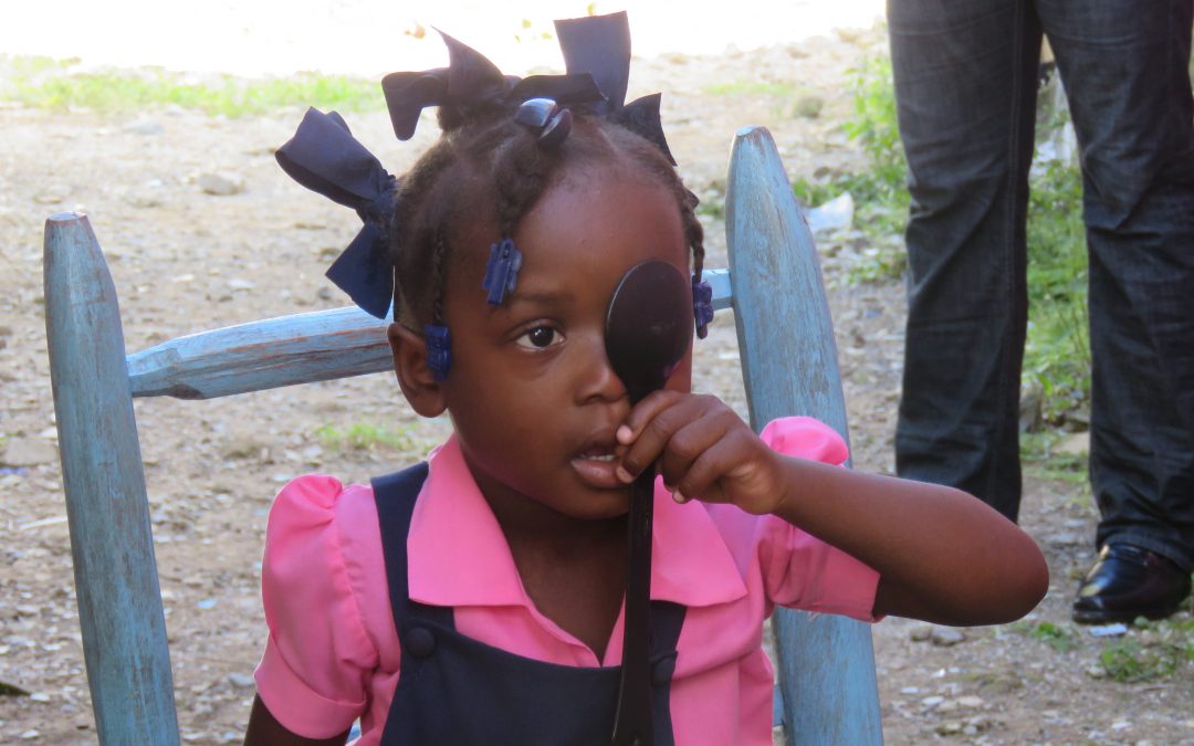 Haïti, novembre 2016 – mission de formation et synergie : objectifs atteints