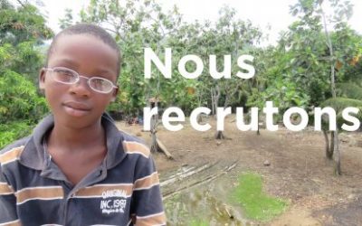Offre d’emploi – direction générale – contractuel